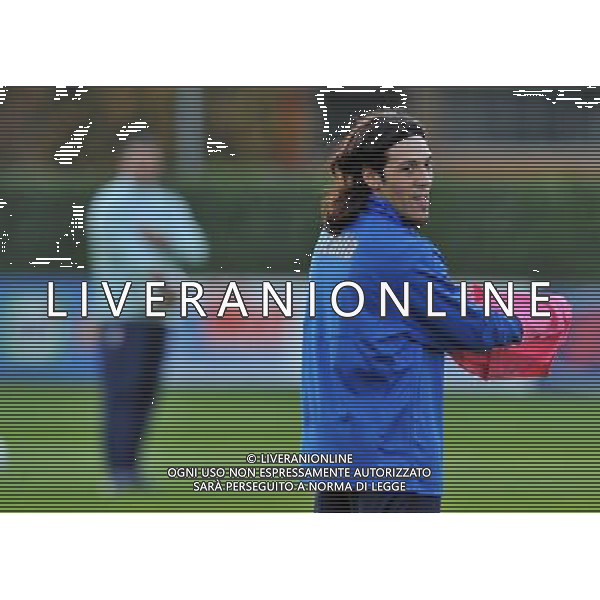 Raduno Nazionale Italiana - Allenamento Coverciano - 17.11.2008 Nella Foto: mauro german CAMORANESI /Ph.Vitez-Ag. Aldo Liverani