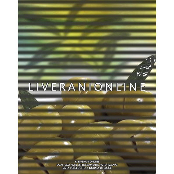 SITUATION OLIVE VERDI AGENZIA ALDO LIVERANI IFC