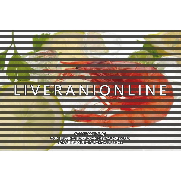 SITUATION GAMBERI AGENZIA ALDO LIVERANI SAS IFC