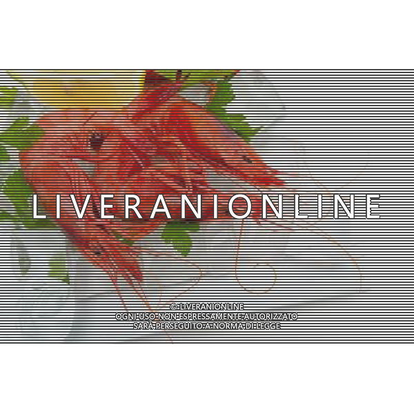 SITUATION GAMBERI AGENZIA ALDO LIVERANI SAS IFC