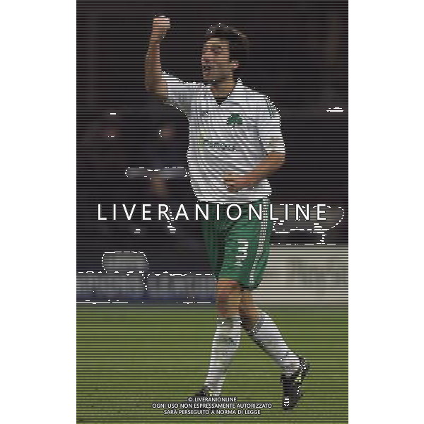 INTER - PANATHINAIKOS CHAMPIONS LEAGUE 26/11/2008 NELLA FOTO esultanza dopo il gol di jose\' sarriegi del 0-1 FOTO MARCO LUZZANI-AG ALDO LIVERANI