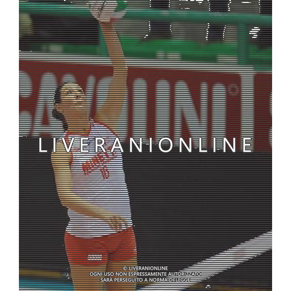Findomestic Volley Cup Femminile A1 2008/2009 8°Giornata Montecchio(PU) - 29.11.2008 Scavolini Pesaro-Minetti Vicenza Nella Foto:TIROZZI VALENTINA /Ph.Vitez-Ag. Aldo Liverani