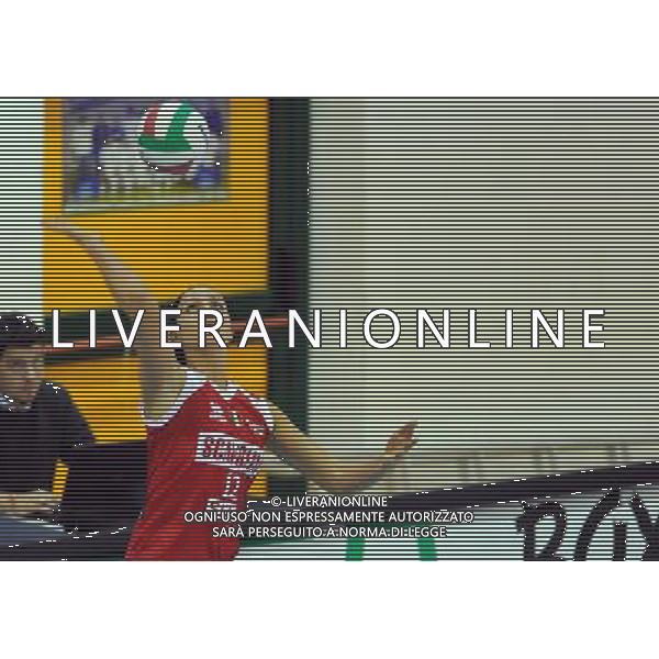 Findomestic Volley Cup Femminile A1 2008/2009 8°Giornata Montecchio(PU) - 29.11.2008 Scavolini Pesaro-Minetti Vicenza Nella Foto:COSTAGRANDE CAROLINA /Ph.Vitez-Ag. Aldo Liverani