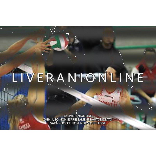Findomestic Volley Cup Femminile A1 2008/2009 8°Giornata Montecchio(PU) - 29.11.2008 Scavolini Pesaro-Minetti Vicenza Nella Foto:CURCIC IVANA /Ph.Vitez-Ag. Aldo Liverani