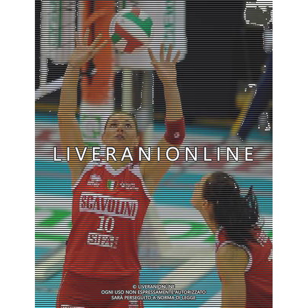 Findomestic Volley Cup Femminile A1 2008/2009 8°Giornata Montecchio(PU) - 29.11.2008 Scavolini Pesaro-Minetti Vicenza Nella Foto:FERRETTI FRANCESCA /Ph.Vitez-Ag. Aldo Liverani