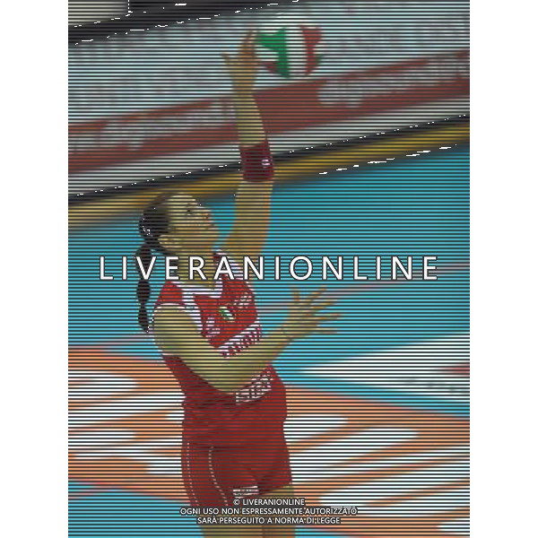 Findomestic Volley Cup Femminile A1 2008/2009 8°Giornata Montecchio(PU) - 29.11.2008 Scavolini Pesaro-Minetti Vicenza Nella Foto:FERRETTI FRANCESCA /Ph.Vitez-Ag. Aldo Liverani