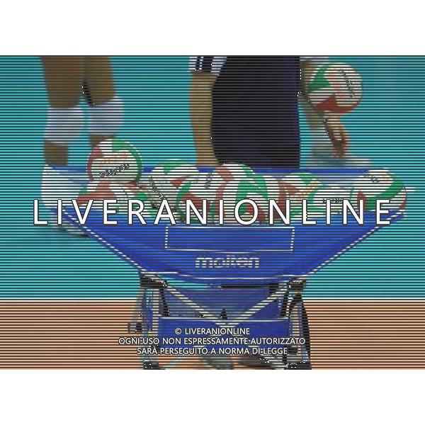 Findomestic Volley Cup Femminile A1 2008/2009 8°Giornata Montecchio(PU) - 29.11.2008 Scavolini Pesaro-Minetti Vicenza Nella Foto:PALLONI VOLLEY /Ph.Vitez-Ag. Aldo Liverani