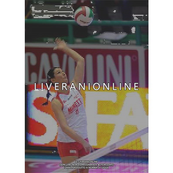Findomestic Volley Cup Femminile A1 2008/2009 8°Giornata Montecchio(PU) - 29.11.2008 Scavolini Pesaro-Minetti Vicenza Nella Foto:TIROZZI VALENTINA /Ph.Vitez-Ag. Aldo Liverani