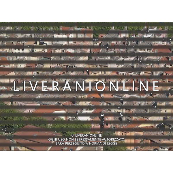 ARCHIVIO ALDO LIVERANI S A S NELLA FOTO LIONE AG ADLO LIVERANI