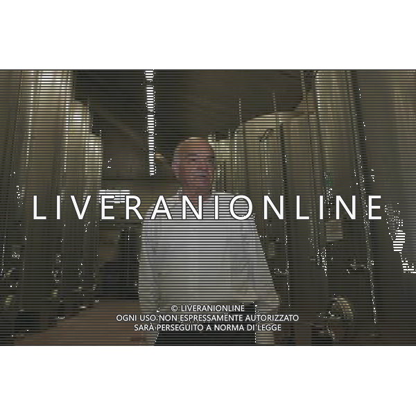 Verona 22 settembre 2006 Arvedi Piero presidente del Verona Calcio foto Andry / Ag. Aldo Liverani sas