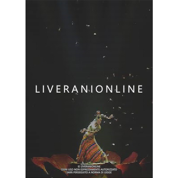 CHENGDU - DECEMBER 27: Chinese dancer Yang Liping performs in the musical \'Tibetan Riddle\' in Chengdu of southwest China\'s Sichuan province Saturday, Dec. 27, 2008. The musical \'Tibetan Riddle\', presenting the original Tibetan culture with folk dances and songs, was staged in Chengdu on Saturday.(Photo By Evens Lee/ColorChinaPhoto) - AG. ALDO LIVERANI SAS ITALY ONLY