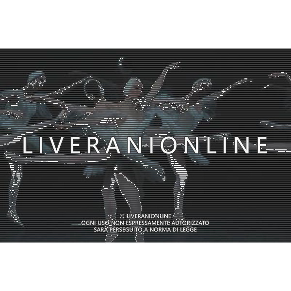 \'Il lago dei cigni\' con il Teatro Nazionale di Opera e Balletto della Moldavia al teatro Arcimboldi di Milano nella foto: ballerine © Antonio Sorano - ag. Aldo Liverani sas