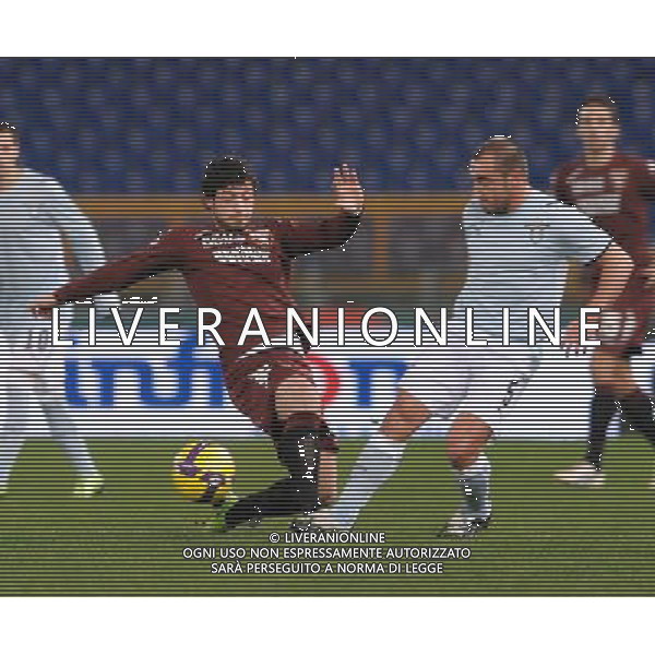 Lazio vs Torino 22/01/2009 Coppa Italia TIM CUP 2008/2009 - Quarti di finale - nella foto: christian brocchi e dezmail ph. Corradetti / ag. Aldo Liverani Sas 