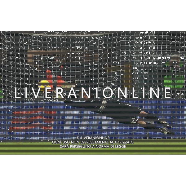 4-2-2009 Torino Sport Calcio Juventus Napoli Coppa Italia Tim 2008/2009 Nella foto Manninger alex ph.viganti/ag.aldo liverani sas