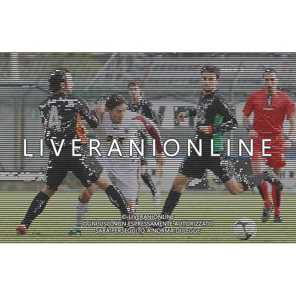 08/02/2009 VENEZIA LEGA PRO GIRONE A-CALCIO VENEZIA REGGIANA NELLA FOTO:INGARI E BERTOTTO PH.GARBUIO/AG.ALDO LIVERANI SAS