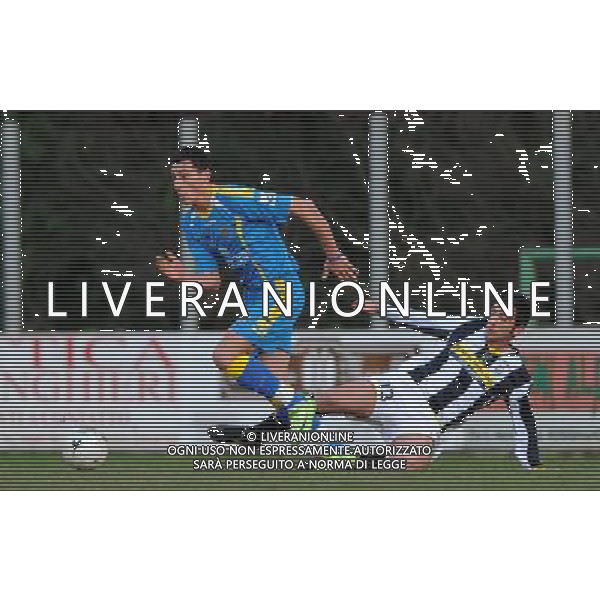 Viareggio Cup World Football Tournament 61°Coppa Carnevale Rosignano Solvay(LI) - 13.02.2009 Juventus-Frosinone Nella Foto:CARDINALI-ALCIBIADE /Ph.Vitez-Ag. Aldo Liverani