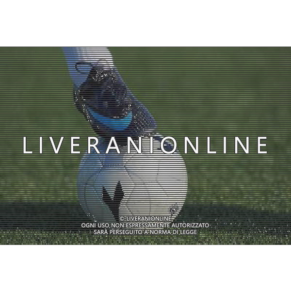 Viareggio Cup World Football Tournament 61°Coppa Carnevale Montemurlo(PO) - 14.02.2009 Fiorentina-L.I.A.C. New York Nella Foto:CALCIO /Ph.Vitez-Ag. Aldo Liverani