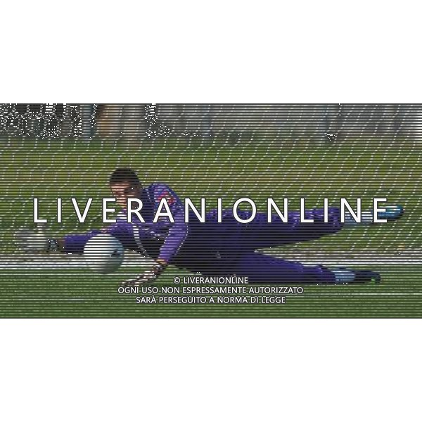 Viareggio Cup World Football Tournament 61°Coppa Carnevale Montemurlo(PO) - 14.02.2009 Fiorentina-L.I.A.C. New York Nella Foto:SECULIN ANDREA /Ph.Vitez-Ag. Aldo Liverani