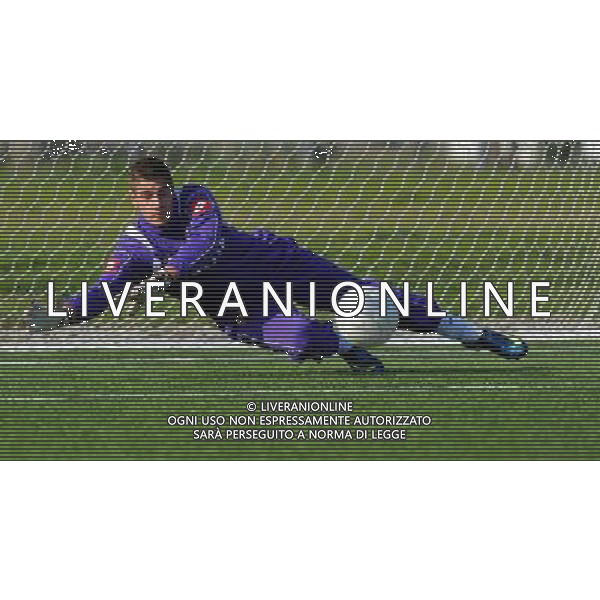 Viareggio Cup World Football Tournament 61°Coppa Carnevale Montemurlo(PO) - 14.02.2009 Fiorentina-L.I.A.C. New York Nella Foto:SECULIN ANDREA /Ph.Vitez-Ag. Aldo Liverani