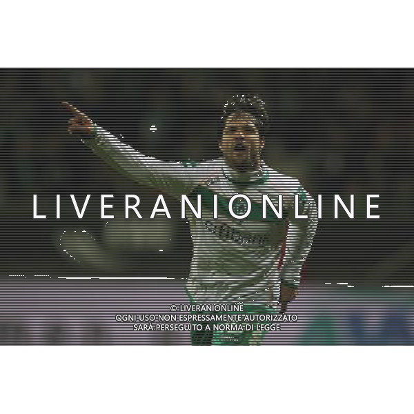 CALCIO BREMA COPPA UEFA 18.02.2009 Werder Brema - AC Milan 1:1 l\'esultanza di Diego dopo il gol Es gelten unsere AGB, einsehbar auf www.firosportphoto.de copyright by firo sportphoto/ag.aldo liverani sas ONLY FOR ITALY 
