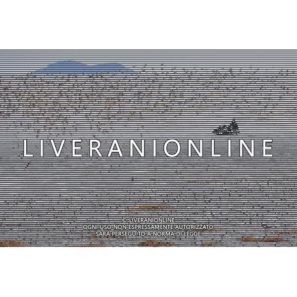 GANYU - FEBRUARY 17: Seabirds look for food at the beach in Ganyu county of east China\'s Jiangsu province Tuesday, Feb. 17, 2009. Thousands of sea-gulls, salanganes and ossifrages migrated to the beach at Ganyu county in the winter. Ganyu County is the famous aquaculture county along China¡¯s coastline and has the first provincial level marine economic development zone focusing on marine industries in Jiangsu Province.(Photo By Si Wei/ColorChinaPhoto) - AG. ALDO LIVERANI SAS ITALY ONLY