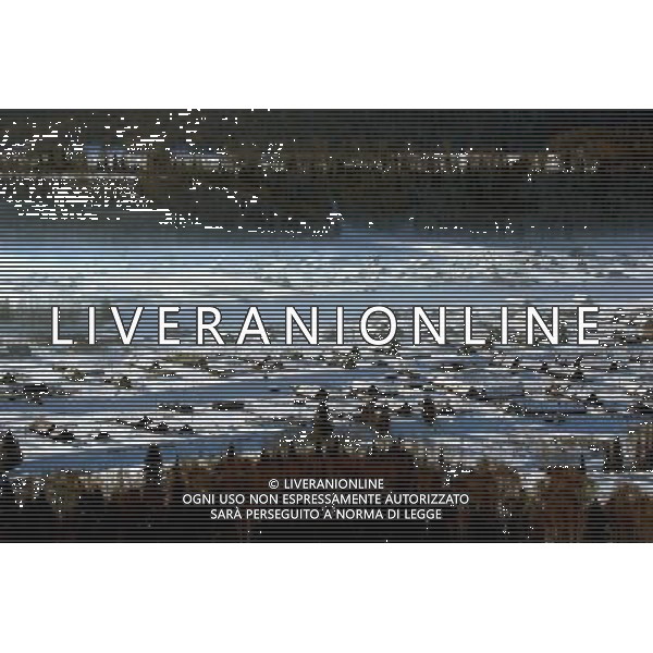 KANAS - MARCH 6: A view of the snow-covered frame houses in Hemu village at the Kanas nature reserve in Xinjiang Uygur Autonomous Region, China on Friday, March 6, 2009. Sharing borders with Kazakhstan, Russia and Mongolia, Kanas Nature Reserve boasts a beautiful natural ecosystem formed by lakes, rivers, glaciers, forests, and grasslands. Hemu Village, ranked by China National Geography as one of the six most beautiful villages in China, is one of the three residences of the Tuva Mongol in the country. The Tuva Mongol of Hemu Village lives in frame houses half-buried in the ground to resist the chillness of winter. They believe in Buddhism and have well preserved the traditional beliefs of their tribe.(Photo By Zhou You/ColorChinaPhoto) - AG. ALDO LIVERANI SAS ITALY ONLY