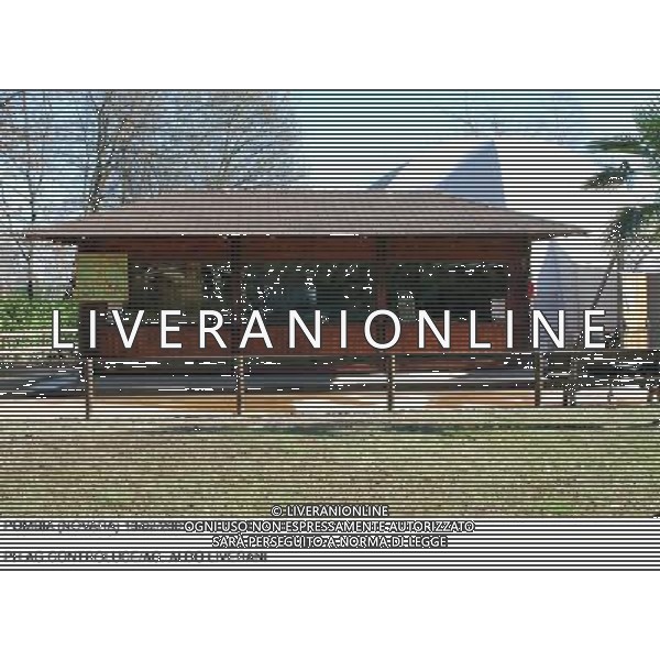 POMBIA (NOVARA) 13/02/2007 NUOVO ZOO SAFARI PARK - LEONE BIANCO LA CASA DI SIMBA IL LEONCINO BIANCO FIGLIO DI FLASH E MOON Ph. RECALCATI/AG. ALDO LIVERANI SAS