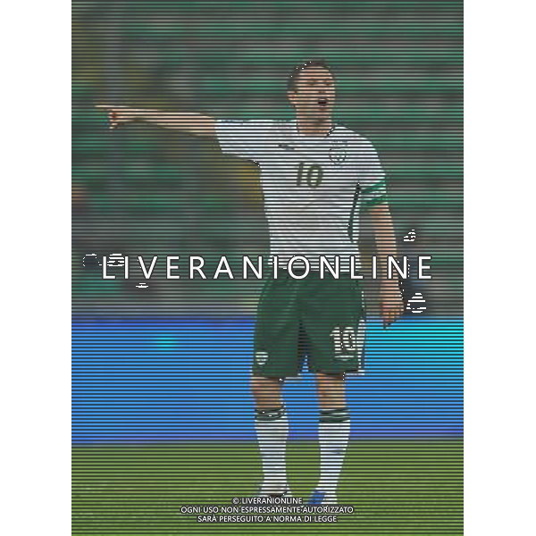 Qualificazioni ai Mondiali Sud Africa 2010 Gruppo 8 Bari - 01.04.2009 Italia-Eire Repubblica d\'Irlanda Nella Foto: ROBBIE KEANE ESULTANZA /Ph.Vitez-Ag. Aldo Liverani