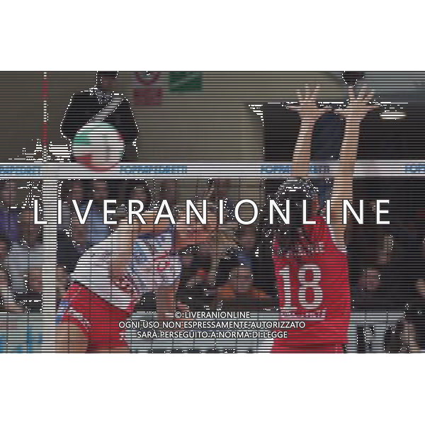 Foppapedretti Bergamo - Scavolini Pesaro Volley Pallavolo Femminile 11a Giornata di ritorno 01/04/2009 nella foto la schiacciata di Valentina Arrighetti ph Pasinetti/Ag. Aldo Liverani Sas