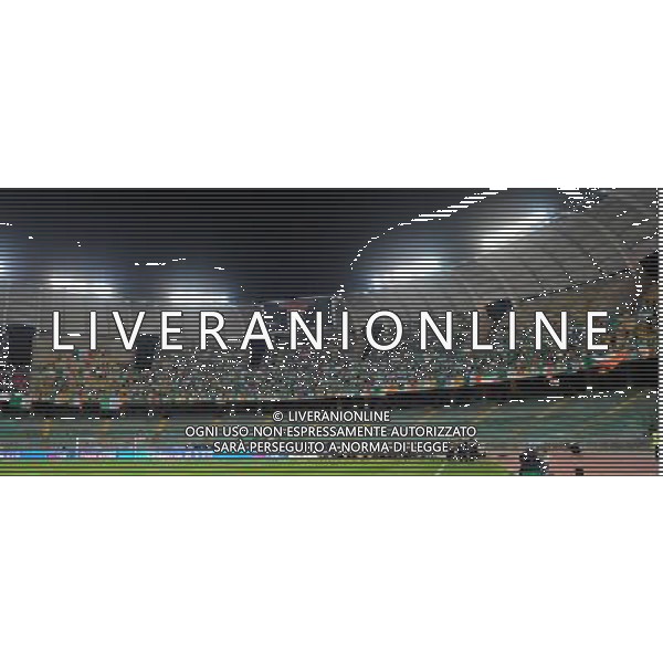 Qualificazioni ai Mondiali Sud Africa 2010 Gruppo 8 Bari - 01.04.2009 Italia-Eire Repubblica d\'Irlanda Nella Foto:TIFOSI EIRE /Ph.Vitez-Ag. Aldo Liverani