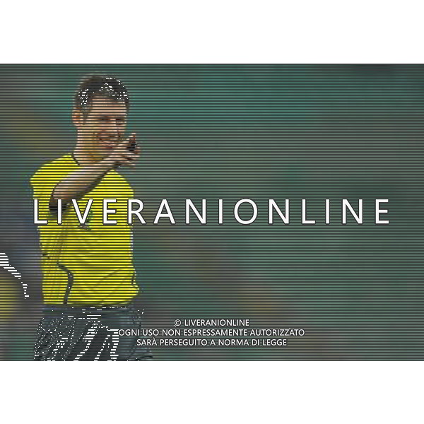 Qualificazioni ai Mondiali Sud Africa 2010 Gruppo 8 Bari - 01.04.2009 Italia-Eire Repubblica d\'Irlanda Nella Foto:STARK WOLFGANG /Ph.Vitez-Ag. Aldo Liverani