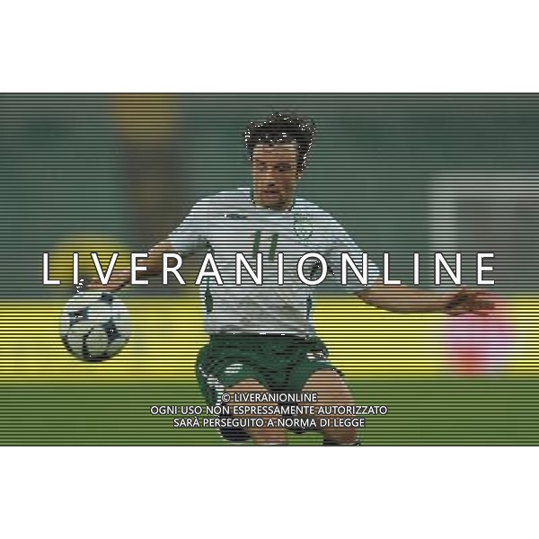 Qualificazioni ai Mondiali Sud Africa 2010 Gruppo 8 Bari - 01.04.2009 Italia-Eire Repubblica d\'Irlanda Nella Foto:HUNT S. /Ph.Vitez-Ag. Aldo Liverani