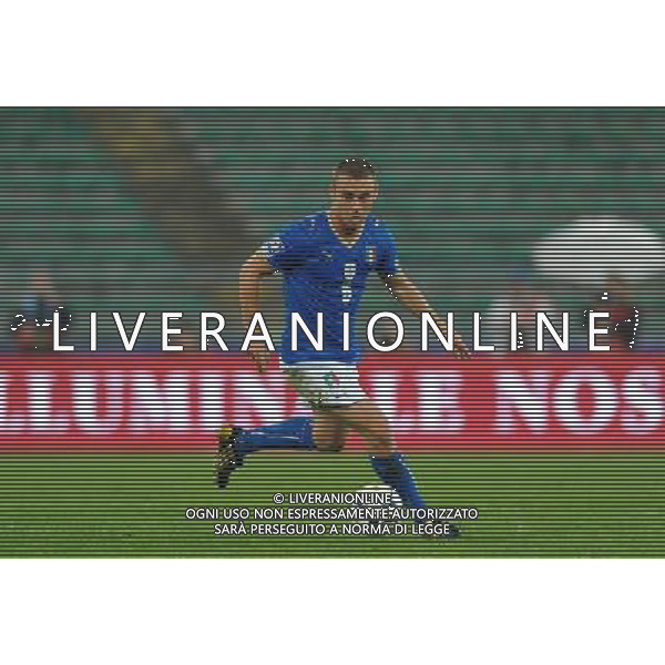 Qualificazioni ai Mondiali Sud Africa 2010 Gruppo 8 Bari - 01.04.2009 Italia-Eire Repubblica d\'Irlanda Nella Foto:DE ROSSI DANIELE /Ph.Vitez-Ag. Aldo Liverani