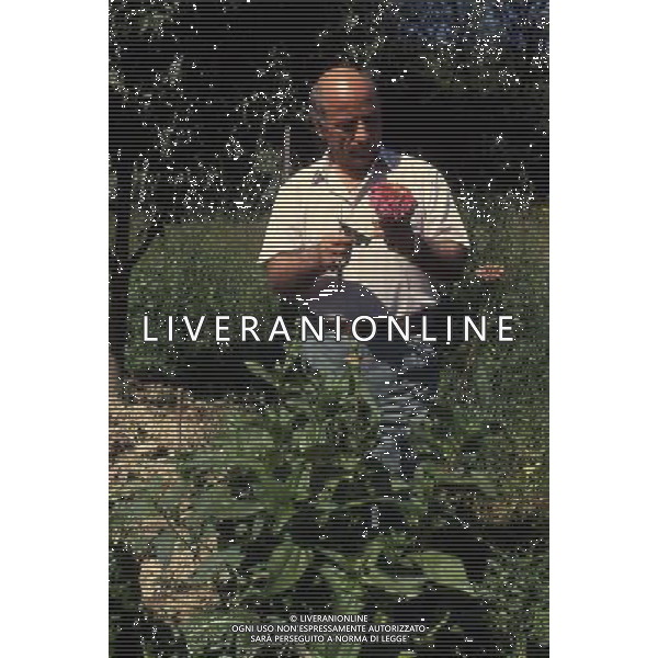 ARCHIVIO JAMES SAVOIA NELLA FOTO GRAZIANO MESINA AG ALDO LIVERANI