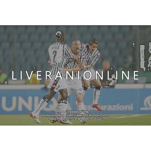 UDINE 16/04/2009 UEFA CUP QUARTER-FINAL 2ND LEG UDINESE-WERDER BREMEN NELLA FOTO:L\'ESULTANZA DI GOKHAN INLER DOPO IL GOL FOTO PAOLA GARBUIO/AG.ALDO LIVERANI