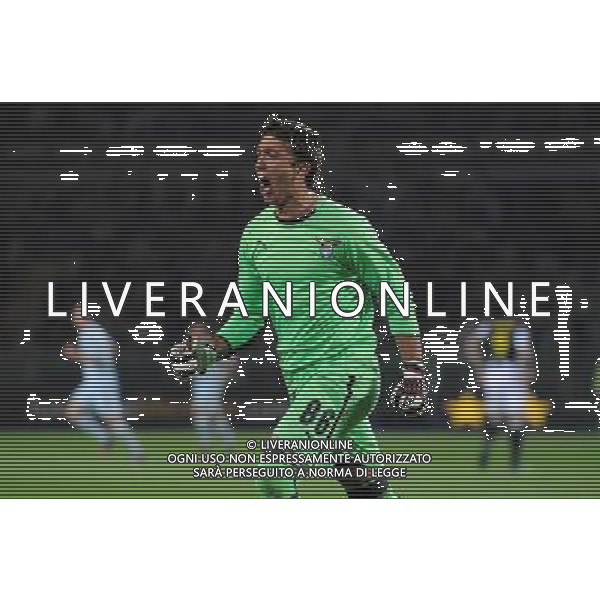22-04-2009 Torino Sport Calcio Juventus Lazio Coppa Italia Tim 2008/2009 Nella foto: l\'esultanza di muslera nestor della lazio dopo il gol kolarov aleksander ph.viganti/ag ALDO LIVERANI sas