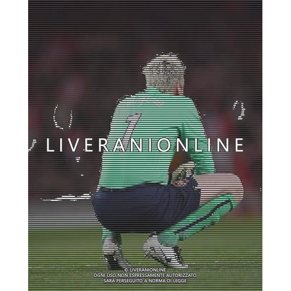 delusione - Arsenal\'s Manuel Almunia dejection: Arsenal FC vs Manchester United for the Uefa Champions League Semifinale second Leg at the Emirates Stadium in London on 05/05/2009. Picture By Marc Atkins/IPS Photo Agency/Agenzia Aldo Liverani Sas - ITALY ONLY - English Premier and Football League images are only to be used in an editorial context, images are not allowed to be published on another internet site unless a licence has been obtained from DataCo Ltd +44 207 864 9121