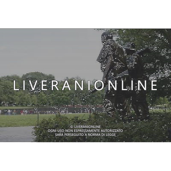 Vietnam Veterans Memorial Washington DC Stati Uniti d\'America - USA ph Agenzia Aldo Liverani Sas
