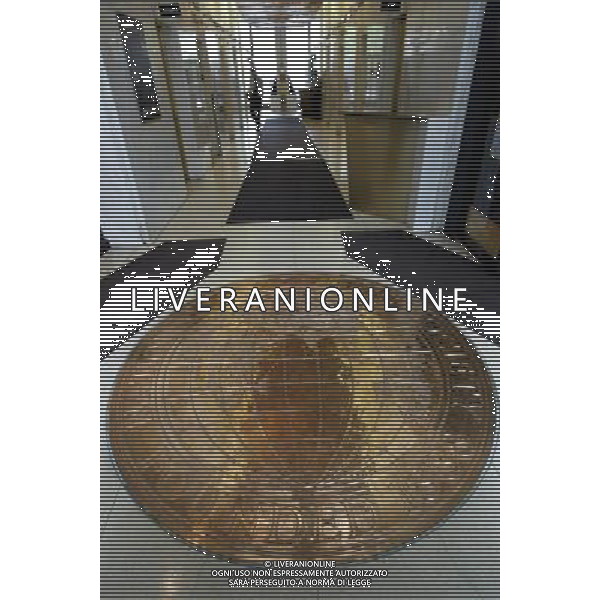 The National Geographic Society Washington DC Stati Uniti d\'America - USA ph Agenzia Aldo Liverani Sas