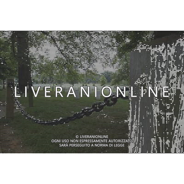 Arlington National Cemetery - Cimitero militare nazionale di Arlington dove sono sepolti i Veterani di tutte le guerre Statunitensi situato di fronte a Washington DC Stati Uniti d\'America - USA ph Agenzia Aldo Liverani Sas