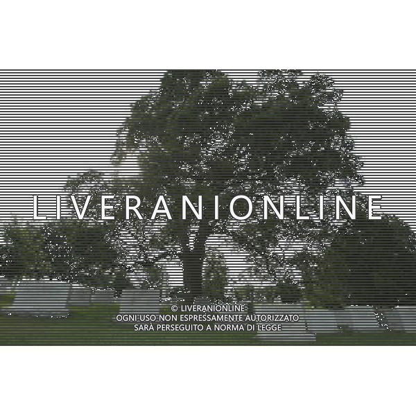 Arlington National Cemetery - Cimitero militare nazionale di Arlington dove sono sepolti i Veterani di tutte le guerre Statunitensi situato di fronte a Washington DC Stati Uniti d\'America - USA ph Agenzia Aldo Liverani Sas