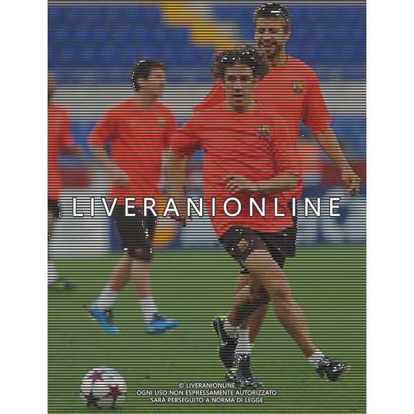 Allenamento del Barcellona Calcio per la finale di Champions League - Roma 26/05/2009 nella foto puyol ph vitez/Agenzia Aldo Liverani sas