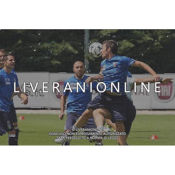 COVERCIANO, 3 GIUGNO 2009 RADUNO DELLA NAZIONALE ITALIANA DI CALCIO NELLA FOTO: D\'AGOSTINO DOSSENA E PELLISSIER FOTO AG. A. LIVERANI SAS