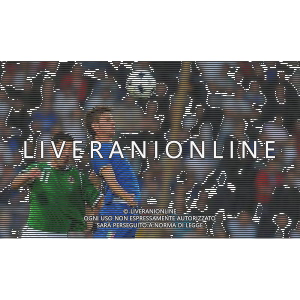 Preparazione alla Conferedation Cup Sud Africa 2009 Pisa - 06.06.2009 Italia-Irlanda del Nord Nella Foto:SANTON DAVIDE -CARSON /Ph.Vitez-Ag. Aldo Liverani