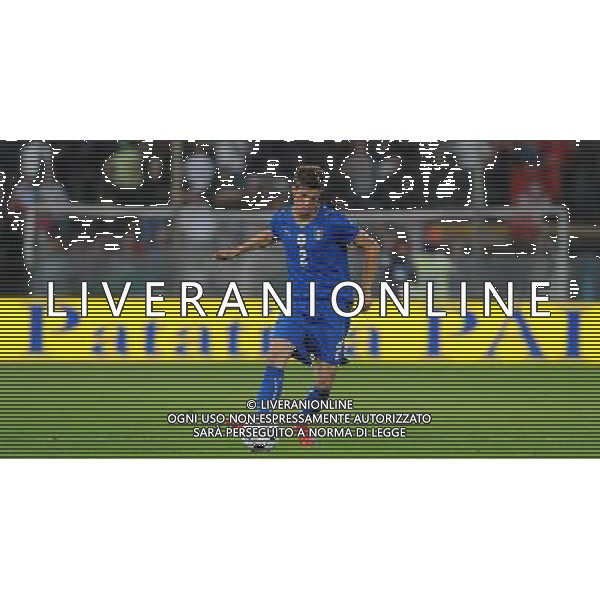 Preparazione alla Conferedation Cup Sud Africa 2009 Pisa - 06.06.2009 Italia-Irlanda del Nord Nella Foto:SANTON DAVIDE /Ph.Vitez-Ag. Aldo Liverani