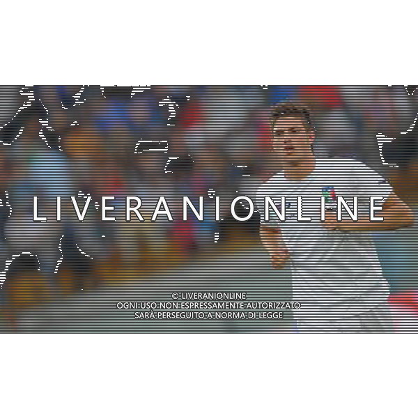 Preparazione alla Conferedation Cup Sud Africa 2009 Pisa - 06.06.2009 Italia-Irlanda del Nord Nella Foto:SANTON DAVIDE /Ph.Vitez-Ag. Aldo Liverani