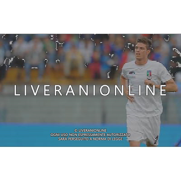 Preparazione alla Conferedation Cup Sud Africa 2009 Pisa - 06.06.2009 Italia-Irlanda del Nord Nella Foto:SANTON DAVIDE /Ph.Vitez-Ag. Aldo Liverani