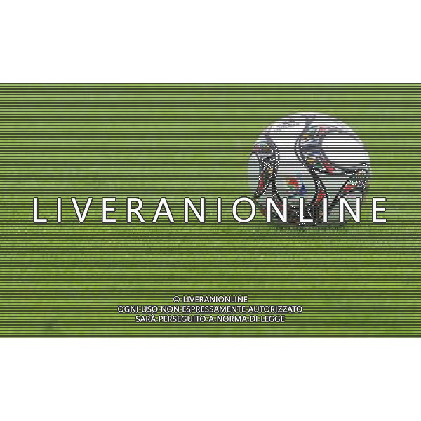 Preparazione alla Conferedation Cup Sud Africa 2009 Ritiro a Coverciano Coverciano(FI) - 07.06.2009 Allenamento Nella Foto:PALLONE SUD AFRICA 2010 /Ph.Vitez-Ag. Aldo Liverani