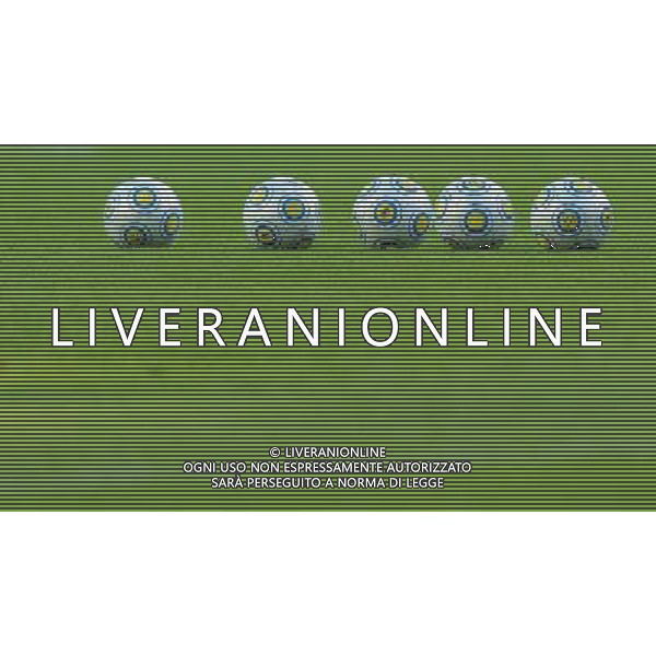 17¡ UEFA European U21 Championship 2007/2009 MD1 Goteborg - 15.06.2009 Spagna-Germania Nella Foto:PALLONI EUROPEI /Ph.Vitez-Ag. Aldo Liverani