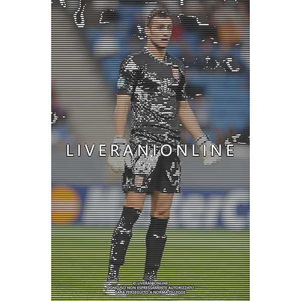 17¡ UEFA European U21 Championship 2007/2009 MD1 GroupA Helsingborg - 16.06.2009 Italia-Serbia Nella Foto:BRKIC ZELJKO /Ph.Vitez-Ag. Aldo Liverani